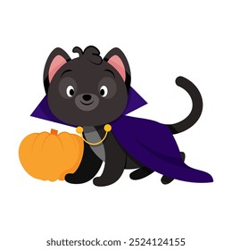 Gato preto bonito vestido de Conde Drácula para o Halloween