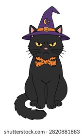 Cute black cat dressed up in a witch costume with an angry expression, ready for halloween.