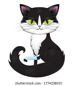 Cute black cat with green eyes isolated on white.