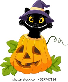 Cute black cat with Halloween pumpkin