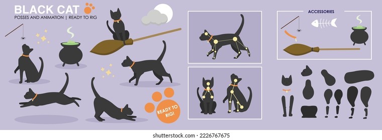 Cute gato negro, personaje vectorial de escena de Halloween con múltiples poses listas para animar y amarrar. Vectores espeluznantes, personaje de Halloween. Gato, vacaciones de gatito. escoba de brujas.