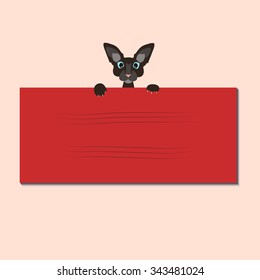 Cute black cat holding up a scratched sign. Sphinx hipster banner template background. Vector illustration for your design.