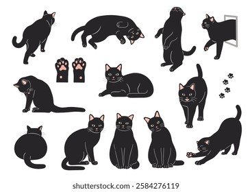 Cute black cat illustration set.Vector illustration
