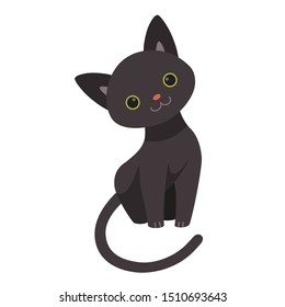 Cute black cat isolated on white background