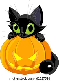 A Cute Black Cat On A Halloween Pumpkin.