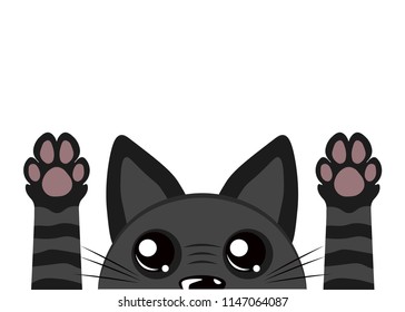 Cute black cat on a white background. Cat's paws