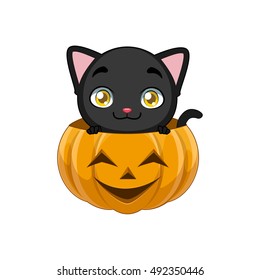 Cute black cat peeking out of a pumpkin