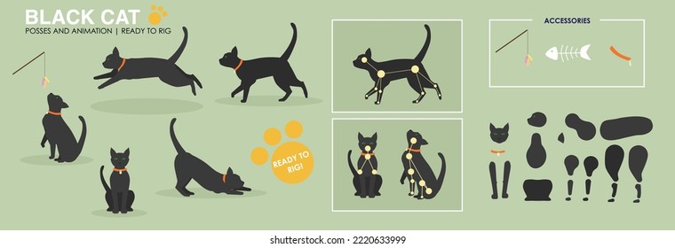 Rute schwarze Katze spielen, Stretching, Sitzen, Vektorset, bereit zum Riggen und Animieren. Kollektion oder Posen und Accessoires. 