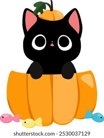 Cute Black Cat in Pumpkin