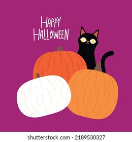 Cute black cat and Pumpkin head in Halloween day. Happy Halloween greeting card with cute black cat and spooky pumpkin. Animal holidays cartoon character.