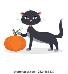 Gato negro lindo con una calabaza sobre un fondo blanco. Ilustración vectorial.