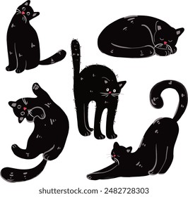 Cute black cat in several poses