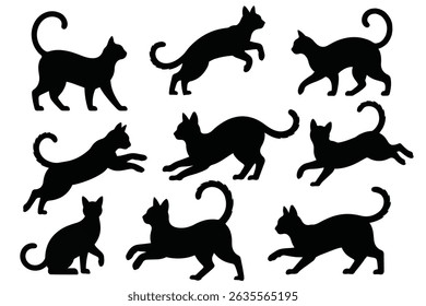 Conjunto Vetorial de Silhuetas de Gato Preto Bonito