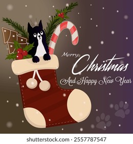 A cute black cat sits in a New Year's stocking among sweets and spruce branches. Winter cozy background. Falling snow. Congratulatory inscription. New Year and Christmas