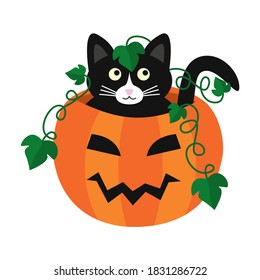 Cute black cat sitting in a creepy pumpkin with green ivy. Halloween illustration. Doodle flat illustration vector.