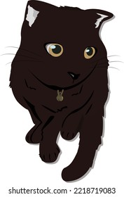 Cute Black Cat Sitting Illustration