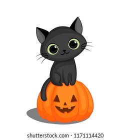 Cute black cat in sitting on a Halloween pumpkin