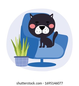 Cute black cat sitting on an armchair. Cozy Home. Stay at home.  Сard  template. Vector  Hand drawn illustration.