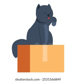 Cute black cat is sitting on a cardboard box, licking its paw