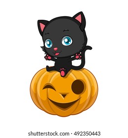Cute black cat sitting on a Halloween pumpkin