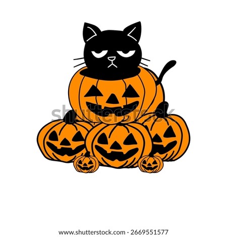 Cute Black Cat Sitting on Jack-o’-Lantern Pumpkins