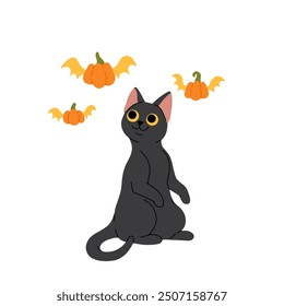 Cute black cat standing playing with flying pumpkins. Flat cartoon vector illustration for Halloween
