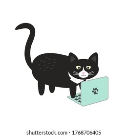 Cute Black Cat Is Typing On The Laptop. Doodle Flat Vector Illustration.