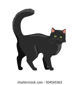 Cute black cat walking with raised tail flat vector illustration isolated on white background. Purebred pet. Domestic friend and companion animal. For pet shop ad, animalistic hobby concept, breeding