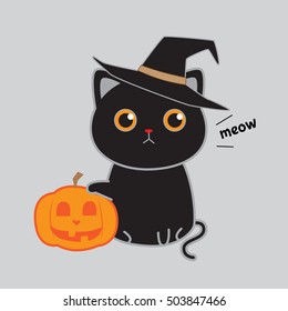 Cute black cat with witch costume standing beside jack-o-lantern