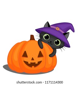 Cute Black Cat In A Witch Hat Behind A Halloween Pumpkin