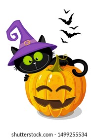 Cute black cat in a witch hat behind a Halloween pumpkin.  Hand drawing cartoon illustration