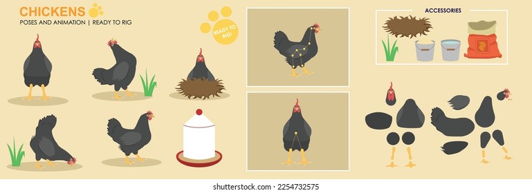 Cute black Chicken character hen ready to animate, multiple angles and poses, orange farm animals chicken for animation, vector collection	
