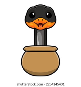 Cute black copper rat snake cartoon inside pot