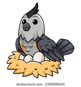 Cute black crested titmouse cartoon with eggs in the nest