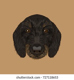 Cute black curly face of domestic puppy on brown background