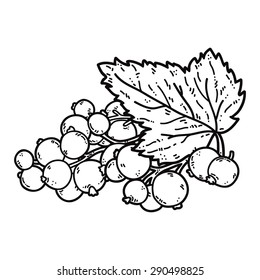 Cute Black currant. Vector cute hand drawn black currant outlines.