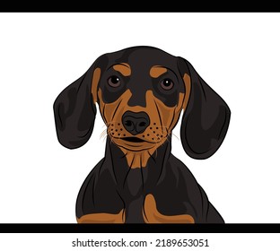 Cute black dog vector art design