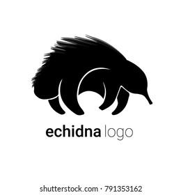 Cute black echidna on white background fine flat design of logo vector illustration