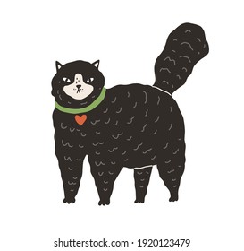 Cute black fluffy cat standing on all four paws with tail raised up. Big fat kitty isolated on white background. Hand-drawn colored flat vector illustration in doodle style