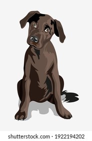 Cute black funny dog. Puppy. Black great dane. A beautiful black puppy with big eyes wags its tail and sitting on a ground. Isolate. Vector illustration