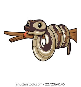 Cute black head butter ball python cartoon on tree branch