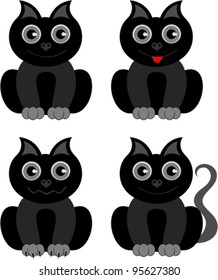 Cute black kitten