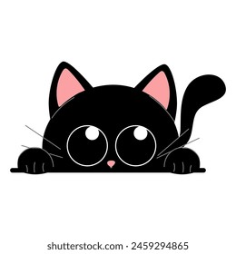 Cute black kitten on a white background