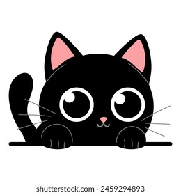 Cute black kitten on a white background