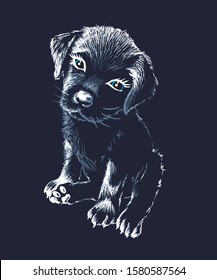 cute black Labrador puppy on black background vector illustration