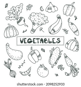 Cuto conjunto de doodle de línea negra sobre verduras, zanahoria, ajo, cebolla, calabaza, calabaza, calabaza, remolacha, pimienta, tomate, pepino. comida vegana. cosecha de otoño. estilo Esbozo de escaneo