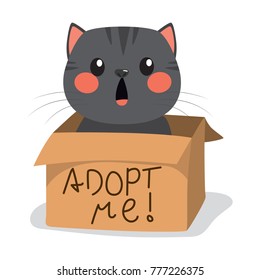 Cute black little cat with inside cardboard box with adopt me text