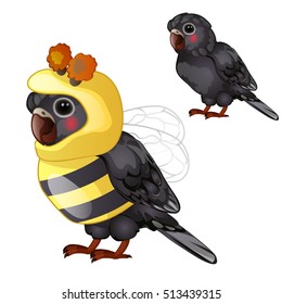 Cute black parrot in bee costume isolated on a white background. Tropical tamed bird. Animated vector illustration.