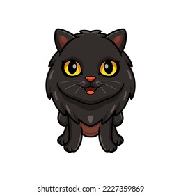 Cute black persian cat cartoon