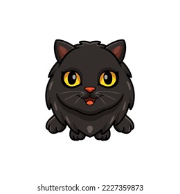 Cute black persian cat cartoon posing